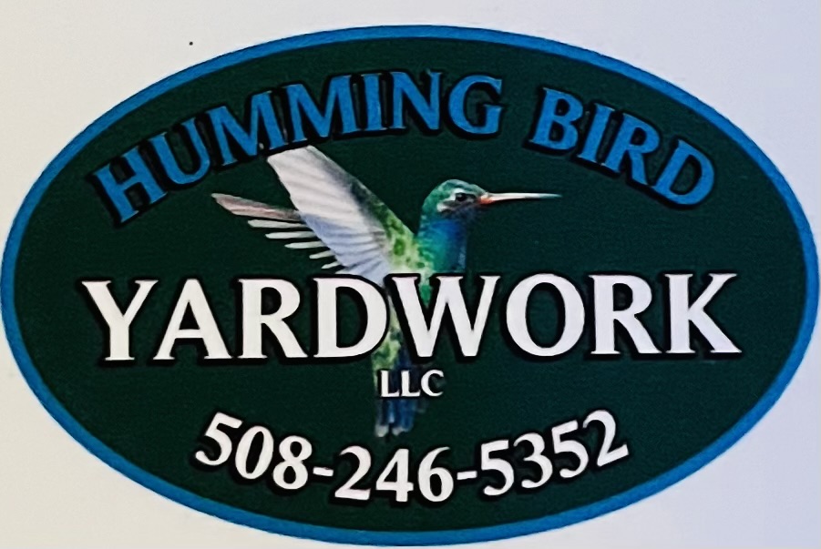 Hummingbird